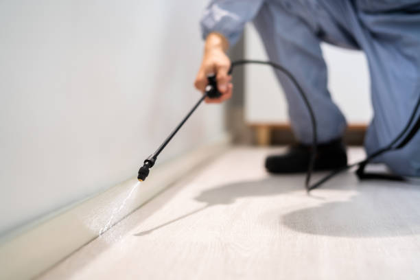 Licensed Termite Control service in Bremen, OH - Nex Pest Control