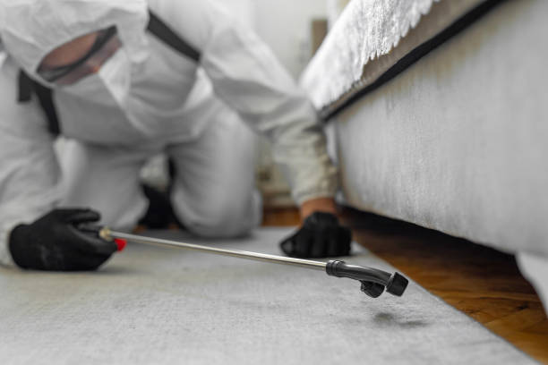 Professional Termite Control technician working in Bremen, OH