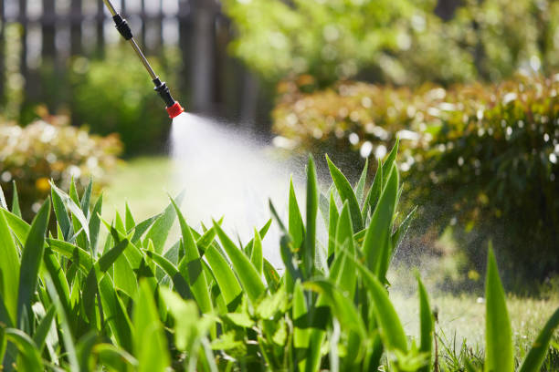 24/7 Emergency Termite Control experts in Bremen, OH