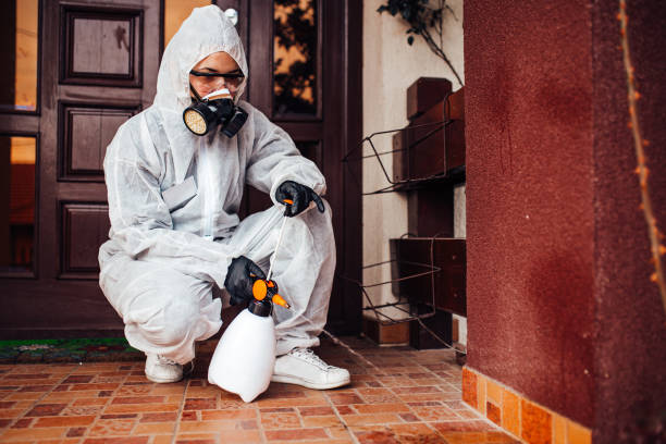Reliable Termite Control contractor in Bremen, OH by Nex Pest Control