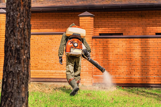 Top rated local Termite Control specialists in Bremen, OH